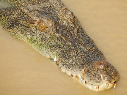 Northern-Territory-a 007