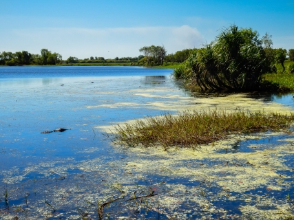 Northern-Territory-a 013