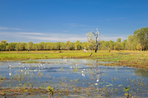 Northern-Territory-a 014