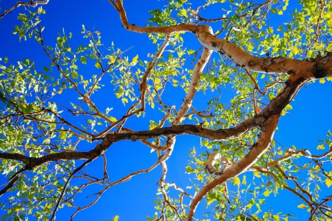 Northern-Territory-a 018