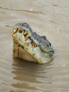 Northern-Territory-a 029